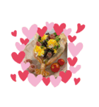 ℃hoco（個別スタンプ：33）