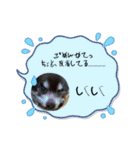 ℃hoco（個別スタンプ：34）