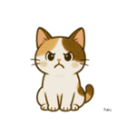 うち家の猫（個別スタンプ：3）