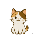 うち家の猫（個別スタンプ：4）