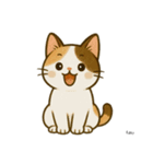 うち家の猫（個別スタンプ：5）