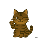 うち家の猫（個別スタンプ：9）