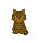 うち家の猫（個別スタンプ：11）