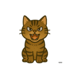 うち家の猫（個別スタンプ：12）