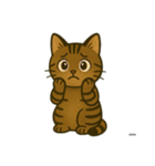 うち家の猫（個別スタンプ：13）
