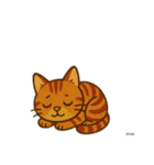 うち家の猫（個別スタンプ：21）