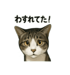 のぞき猫の日常ことばスタンプ①（個別スタンプ：17）