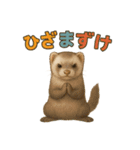 ずがたかいフェレット（個別スタンプ：4）
