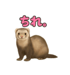 ずがたかいフェレット（個別スタンプ：8）