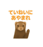 ずがたかいフェレット（個別スタンプ：10）