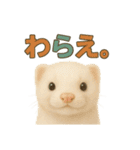 ずがたかいフェレット（個別スタンプ：13）