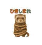 ずがたかいフェレット（個別スタンプ：23）
