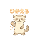 ずがたかいフェレット（個別スタンプ：24）