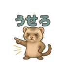 ずがたかいフェレット（個別スタンプ：25）