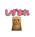 ずがたかいフェレット（個別スタンプ：26）