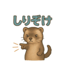 ずがたかいフェレット（個別スタンプ：27）