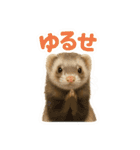 ずがたかいフェレット（個別スタンプ：28）