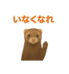 ずがたかいフェレット（個別スタンプ：31）