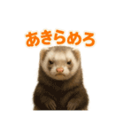 ずがたかいフェレット（個別スタンプ：32）