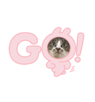 三兄弟と愉快な保護猫達シリーズ（個別スタンプ：5）