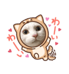 三兄弟と愉快な保護猫達シリーズ（個別スタンプ：6）