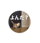てとくんのいっぽいっぽ（個別スタンプ：1）