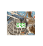 てとくんのいっぽいっぽ（個別スタンプ：5）