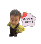 よっちゃんstamp（個別スタンプ：4）