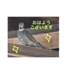 生き物写真で「おはようございます」（個別スタンプ：2）