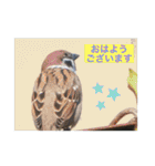 生き物写真で「おはようございます」（個別スタンプ：27）
