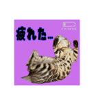 アテレアスタンプ（個別スタンプ：2）
