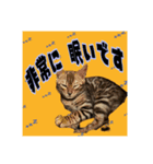 アテレアスタンプ（個別スタンプ：5）