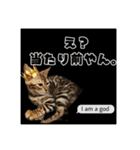 アテレアスタンプ（個別スタンプ：7）