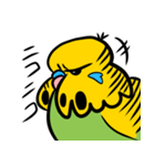可愛いジャンボセキセイインコ（個別スタンプ：2）