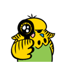 可愛いジャンボセキセイインコ（個別スタンプ：3）
