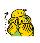 可愛いジャンボセキセイインコ（個別スタンプ：9）