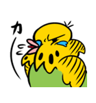 可愛いジャンボセキセイインコ（個別スタンプ：14）