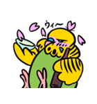 可愛いジャンボセキセイインコ（個別スタンプ：16）
