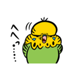 可愛いジャンボセキセイインコ（個別スタンプ：20）