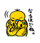 可愛いジャンボセキセイインコ（個別スタンプ：22）