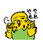 可愛いジャンボセキセイインコ（個別スタンプ：34）