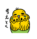 可愛いジャンボセキセイインコ（個別スタンプ：35）