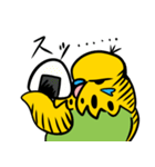 可愛いジャンボセキセイインコ（個別スタンプ：37）