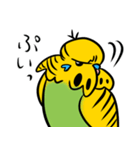 可愛いジャンボセキセイインコ（個別スタンプ：38）