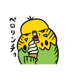 可愛いジャンボセキセイインコ（個別スタンプ：40）