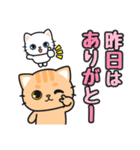 気持ち伝わる♪感謝お礼 #ネコナール3（個別スタンプ：19）