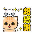 気持ち伝わる♪感謝お礼 #ネコナール3（個別スタンプ：29）
