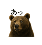 【叫ぶ！】リアルすぎるクマさんの絶叫LINE（個別スタンプ：2）