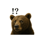 【叫ぶ！】リアルすぎるクマさんの絶叫LINE（個別スタンプ：4）