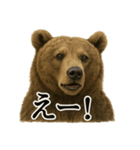 【叫ぶ！】リアルすぎるクマさんの絶叫LINE（個別スタンプ：5）